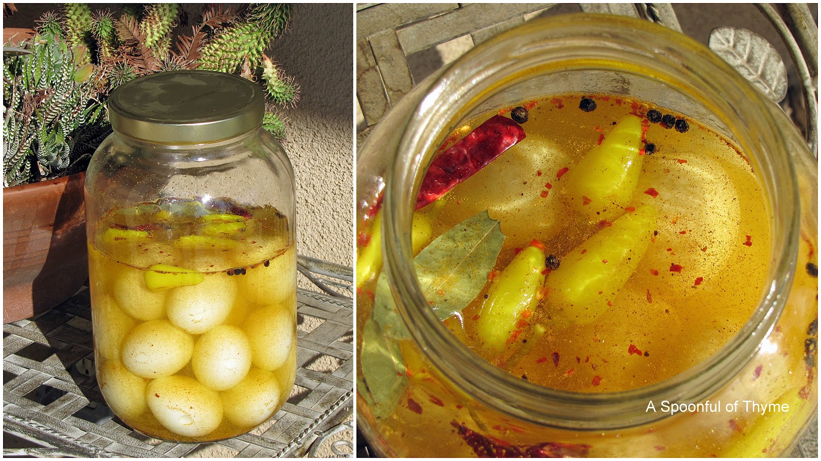 Where are recipes for pickled eggs?